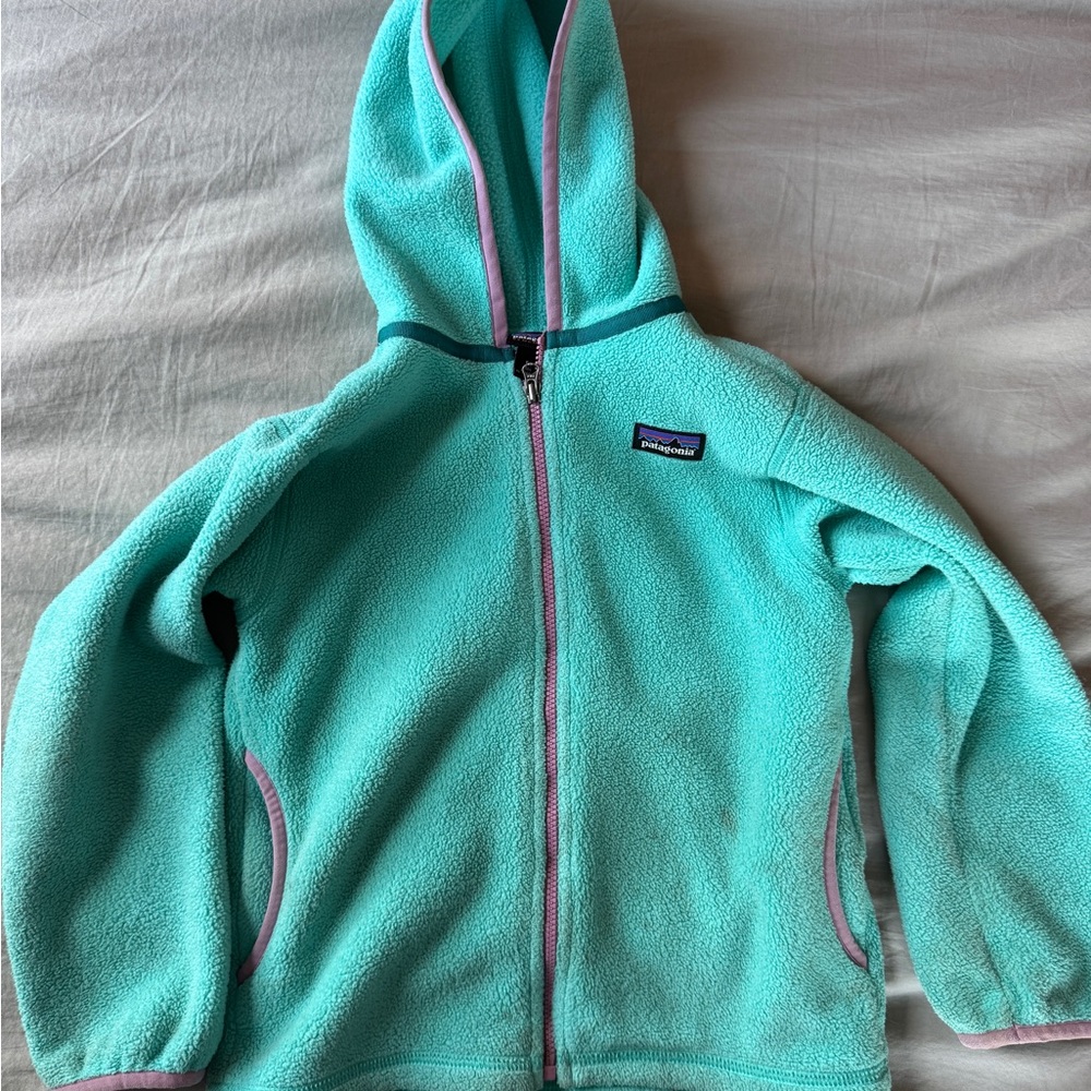 Patagonia Micro D Snap-T Fleece Jacket